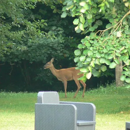 בית הארחה La Des Tilleuls *