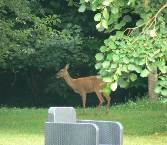 Guest house La Des Tilleuls *